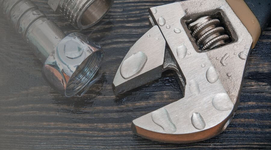 Why choose Black Mold Removal Garden City for black mold removal in Garden City